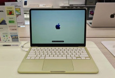 Apple Resmi Rilis MacBook Neo di Indonesia, Performa A18 Pro dengan Harga Rp9 Jutaan