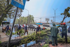 Tingkatkan Kenyamanan Pengguna Jalan, DPUPR Kota Padang Gencar Tambal Lubang di Sejumlah Ruas