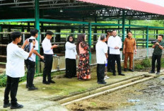 Fadly Amran Tinjau RPH Ruminansia Padang, Sejumlah Fasilitas Diperbaiki pada 2027