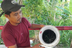 Warga Koto Tangah Padang Sulap Sampah Rumah Tangga Jadi Resapan Air dan Kompos Lewat Solar Biodigester