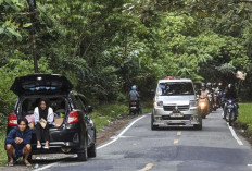 Akses Penghubung Jambi-Sumbar-Bengkulu Aman Dilintasi Wisatawan