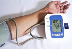 Tak Hanya Pola Hidup Sehat, 4 Ekstrak Alami Ini Ampuh Kontrol Tekanan Darah dan Cegah Komplikasi