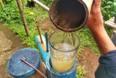 Aia Niro, Minuman Manis Alami Berbahan Aren