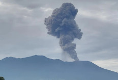 Waspada Gas Beracun Gunung Marapi, Badan Geologi Minta Warga Jauhi Puncak