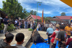 Sapi Kurban Presiden Prabowo Disembelih di Gunung Tuleh, Ratusan Warga Bahoras Antusias Menyaksikan