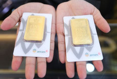 Kompak Naik! Rincian Lengkap Harga Emas Antam, UBS, dan Galeri24 di Pegadaian Hari Ini