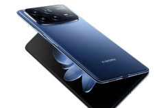 Xiaomi 17 Fold dan Pad 9 Kantongi Sertifikasi: Ponsel Lipat dan Tablet Canggih Siap Meluncur