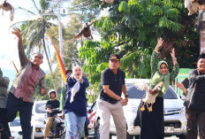 Pemko Payakumbuh Kembangkan Wisata Budaya Lewat Event SAKU TABA