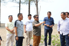 Tinjau Kampung Nelayan Merah Putih di Tarusan, Wabup Risnaldi Dorong Kawasan Terpadu