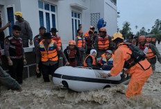 Tim SAR Evakuasi Lebih dari 50 Warga Terjebak Banjir di Padang