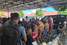 Sistem Sempat Error, Disdikbud Padang Reset Massal Data Hari Pertama dan Perpanjang Pendaftaran SPMB SMP
