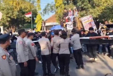 Aksi Ekstrem Aliansi Topi Jerami: Protes Pelayanan PDAM dengan Lempar Puluhan Ular