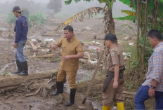 Pemkab Solok Percepat Pemulihan Lahan Terdampak Banjir Bandang