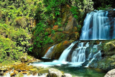 Air Terjun 7 Tingkat Padang Panjang: Surga Tersembunyi untuk Penikmat Alam