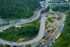 Wisata Kelok 9: Menikmati Megahnya Jembatan Layang di Tengah Alam Bukit Barisan