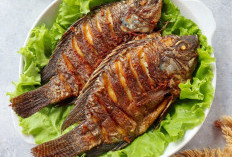 Rahasia Ikan Nila Goreng Garing dan Gurih