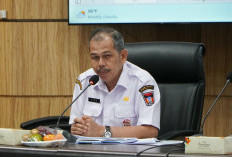 Pemko Padang Genjot Realisasi PAD 2026, Targetkan Sisa Rp128 Miliar dalam Tiga Bulan ke Depan