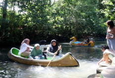 Wisata Tematik Jadi Tren Baru Parwisata, Milenial dan Gen Z Jadi Penggerak Utama