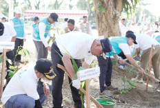 Pulihkan Lingkungan Pasca-Galodo, Pemprov Sumbar Tanam 1.000 Pohon di Hutan Kota Malvinas
