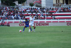 Prediksi Skor Arema FC vs Malut United: Ujian Mental Laskar Kie Raha di Markas Singo Edan